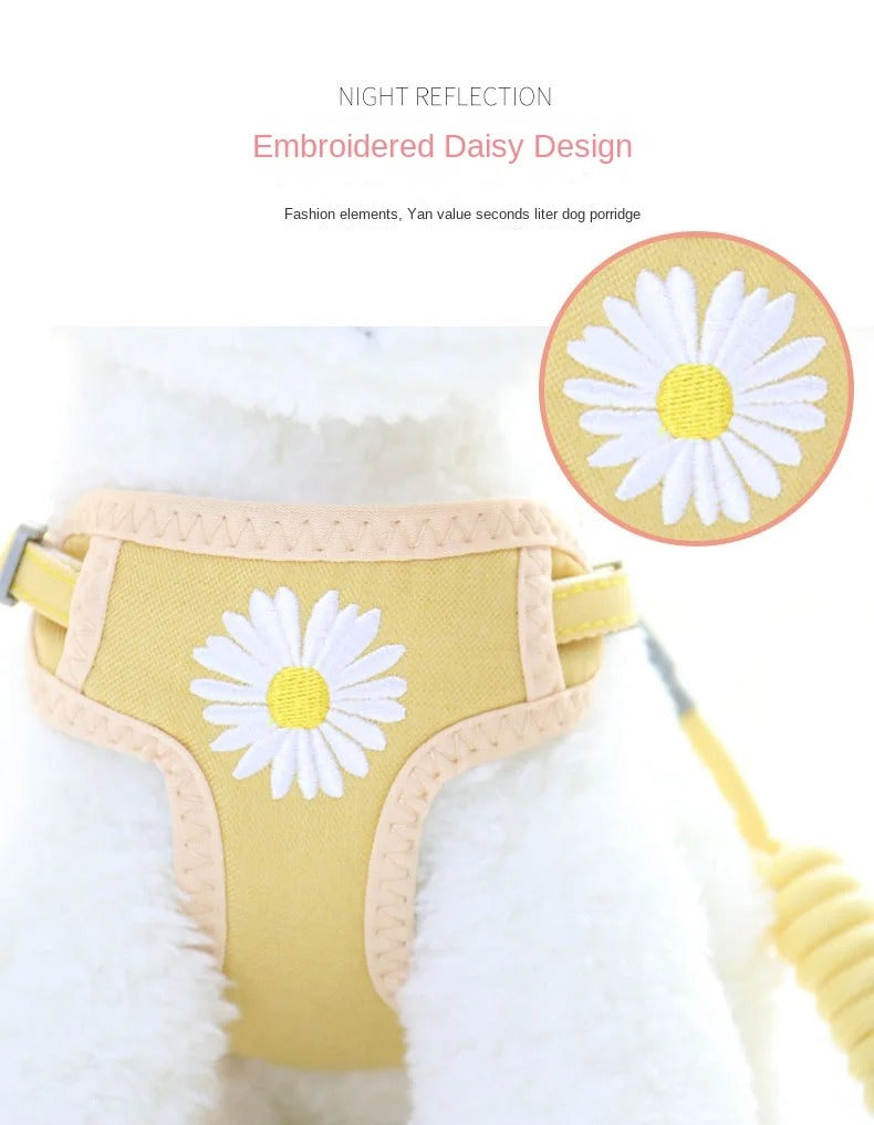 Adjustable Cat and Dog Leash Set with Chest and Back Harness, Anti-Loss Pet Walking Rope, Breathable Summer Mesh Fabric, Anti-Strangulation and Secure Walking Leash for Cats and Dogs